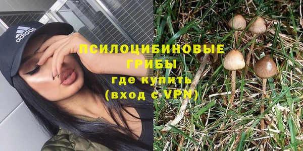 экстази Осташков
