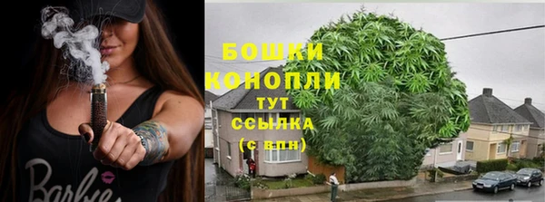 экстази Осташков