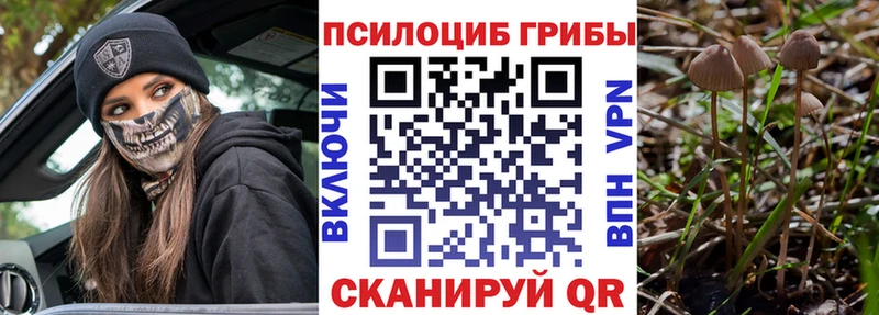 Псилоцибиновые грибы Psilocybe  где можно купить   Сортавала 