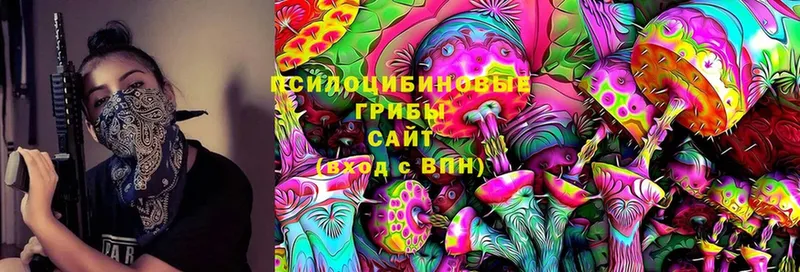 купить закладку  Сортавала  Псилоцибиновые грибы Psilocybine cubensis 